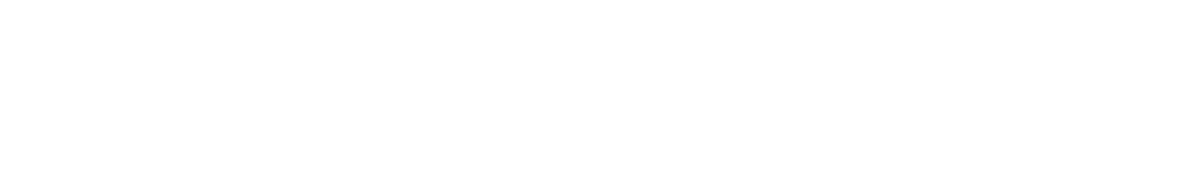 忍者DSPの強み・USP